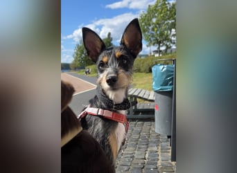 Sandra wünscht sich eine Familie