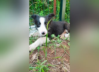 Tina sucht ihre Herzmenschen❤️