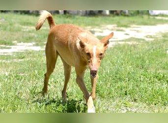 Tobby wünscht sich eine aktive Familie
