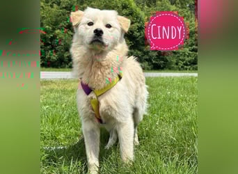 Ängstliche wunderhübsche Cindy