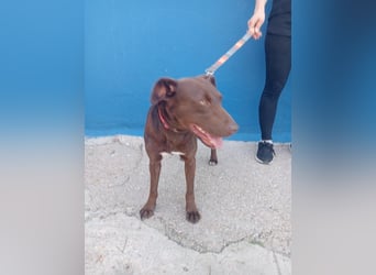 Roma, lieb und ein wenig schüchtern