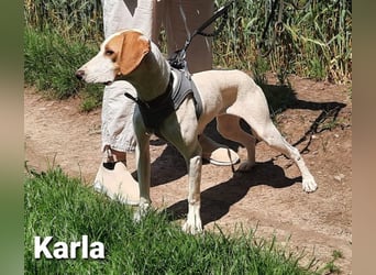 Karla mit dem zauberhaftem Wesen