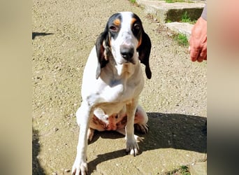 Alice - grosse Kämpferin und Sonnenschein - mit Alice gewinnt ihr eine Freundin fürs Leben