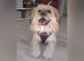 Lana ein winziger Schatz