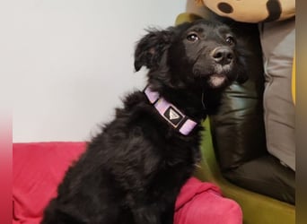 Bruna ❤️ sucht ihre Familie zum Schmusen