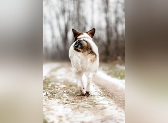 Besondere Agatha sucht ihre Menschen