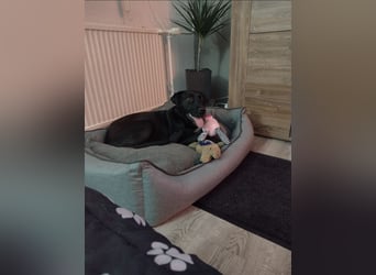 Dani ist auf der Suche nach einem neuen Zuhause