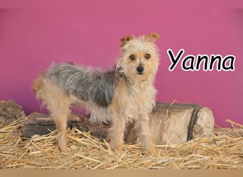 Haben Sie Lust, Yanna auf ihrem Weg zu begleiten?