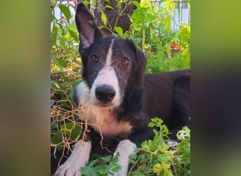 ♥Mona♥ verkuschelte Genießerschnute