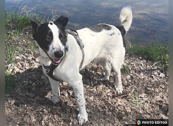Frodo, ein Teddybär sucht seine Familie, PS in 86701 Rohrenfels