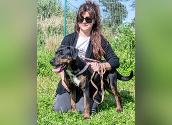 Alejandro – ein lebensfroher Hundejunge