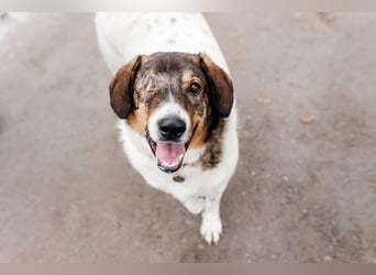Besondere Agatha sucht ihre Menschen