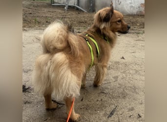 Uma eine kleine Diva