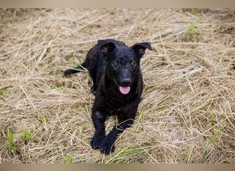 Sally – kleine Frohnatur sucht großes Herz ❤️