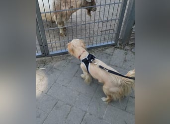 Lebensfrohe EMMY sucht gemütlichen Kuschelplatz