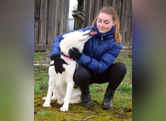 Angyal liebt Wanderungen und Aktivität