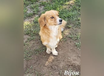 Hübsche Bijou freut sich auf Deinen Besuch