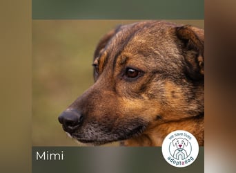 Mimi: Mit einem Lächeln ins Glück