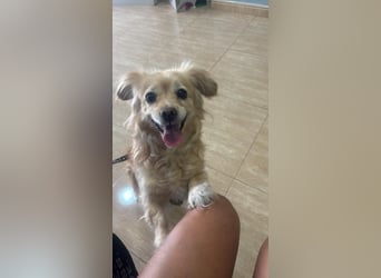 Luna, hofft auf ihre 2. Chance