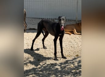 Neo, lieb und schüchtern