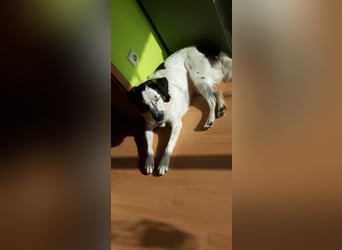 Laiko - in Duisburg