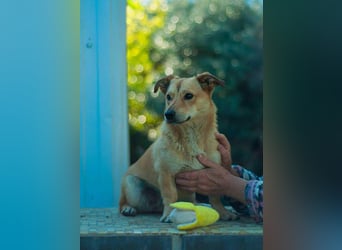 Sanfte Martha sucht ihr Zuhause