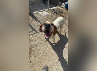 Esther, hofft auf ihr großes Glück