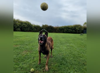 Max