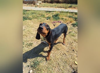 Frohnatur Marley