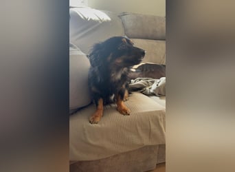 Isabel, sucht ihre Familie