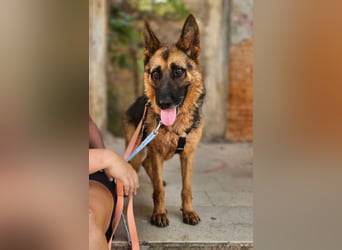 Karma hat das Schicksal zu uns geführt 