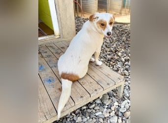 Verspielte GABRIELLA sucht Kuschelpartner fürs Leben