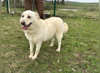 Fibi, geboren 01.06.2021, 50cm sucht ihr Körbchen