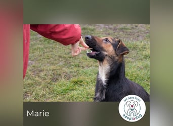 Marie: Die sanfte Seele