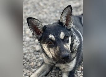 Aktive Tina sucht ihre eigene Familie