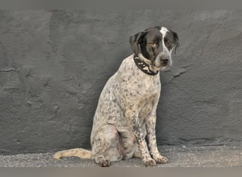 Zeigen Sie Dotty ein Leben inmitten einer Familie?