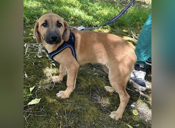 Nina ein kleiner Engelchen