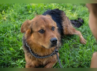 Milo – Harte Schale, weicher Kern
