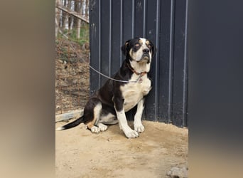 Vilma-BE, sucht einen sicheren Hafen!