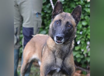 Max