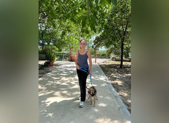 Cleo - unsere wundervolle Frohnatur