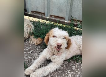 MINA - liebes Mädchen will nach vorne schauen!