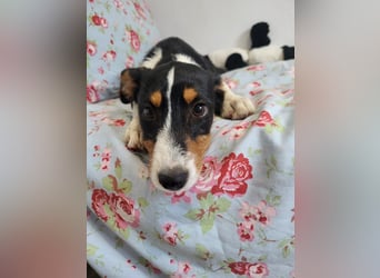 Kleine Katja wartet auf ihre Menschen