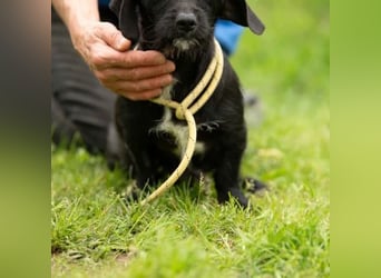 Onyx