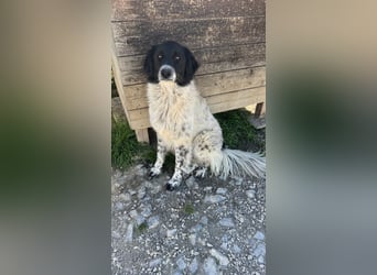Mia