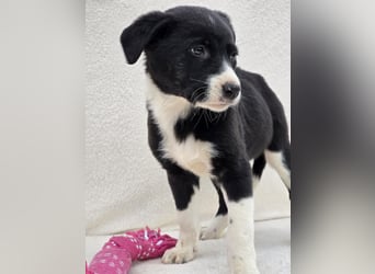Nina, eine von 7 wundervollen Zwergen
