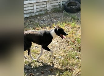 Zauberhafte Kayla ist bereit!