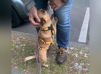 Charlie: wer hat mich lieb?