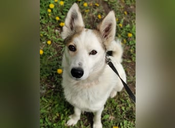 Hallo, ich bin Bella!