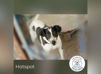 Hotspot: Ein Herz voller Hoffnung